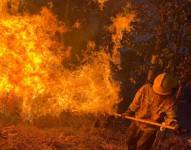 De acuerdo a los datos del SNGR, desde el 1 de enero hasta el 1 de septiembre han existido 1 250 incendios forestales en todo el país, de los cuales 87 han ocurrido en la provincia de Loja.