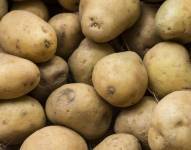 La papa es uno de los productos de mayor consumo en Ecuador.