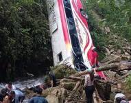 El accidente ocurrió en el sector Río Colorado.