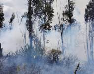 El fuego avanza entre los árboles de Colinas de Bellavista, en el norte de Quito.