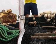 El pez fue encontrado a unas 40 millas náuticas (74 kilómetros) de Anconcito.