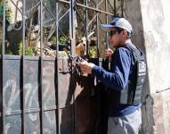 Tres perros fueron abandonados en una vivienda de Quito.