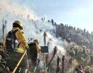 Se activaron las Brigadas de Refuerzo Forestal BRIF de Quito para apoyar a contrarrestar el incendio.