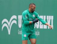 El arquero titular del Palmeiras, Weverton, no atajará en la ida de las semifinales de la Copa Libertadores.