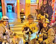 Cinco perros fueron rescatados de un incendio de un edificio en el centro de Guayaquil