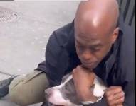 Un perro, de raza pitbull, atacó a un bebé de un año en Nueva York.