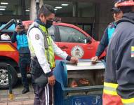 Instante en el que los bomberos acudieron al sitio para rescatar a la mujer.