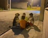 Niños jugando con un perrito callejero.