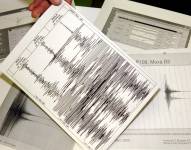 Varios gráficos muestran la señal originada por un sismo, en una fotografía de archivo. EFE/Jan-Peter Kasper