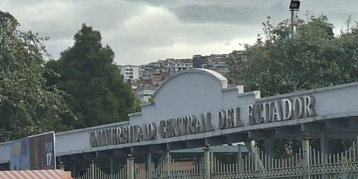 Universidad Central de Quito: las carreras de Derecho y Medicina son las que más profesionales graduaron en cuatro años y medio