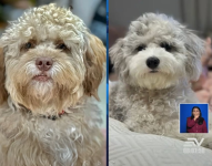 Captura de pantalla.