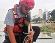 Un rescatista con el perro que salvó al llegar al malecón en Guayaquil.