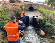 De acuerdo con la Agencia de Regulación y Control del Agua (Arca), el Daule registra nueve años consecutivos de contaminación.