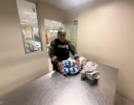 Imagen de la Policía Nacional con la incautación de cangrejos en el aeropuerto de Guayaquil.