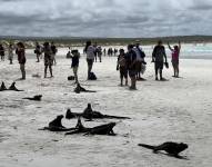 Imagen de turistas en la playa Tortuga Bay de las Islas Galápagos, en julio del 2023.