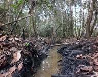 Comtaminación ambiental. Foto: Archivo/Referencial