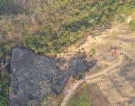 El siniestro no dejó víctimas humanas. Sin embargo, de acuerdo con información municipal, varios reptiles y perros fueron rescatados.