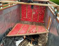 Centenares de explosivos escondidos en un camión.