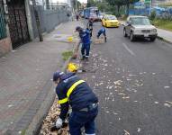 Con la contratación del nuevo personal, Emaseo busca reforzar las tareas de limpieza en la capital.