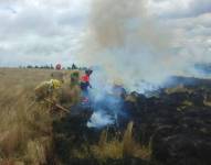 Quema controlada en Cuchitingue.