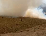 Incendio en Pifo este 5 de octubre