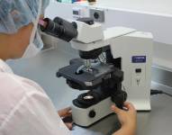 Imagen referencial. Los expertos encontraron cómo trabaja la integrina-beta 1. Pixabay.