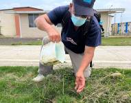 Ecuador se suma a la iniciativa'ciudades ODS' ¿de qué se trata?