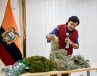 Un funcionario muestra los tipos de musgo, helechos y otras especies.