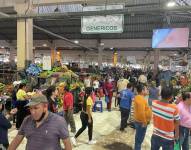 La falta de alimentos se vuelve una situación más común en ciudades como Quito, Guayaquil, Cuenca y Ambato.