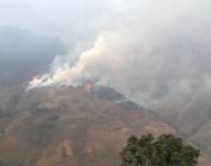 El incendio forestal ha consumido desde hace 10 días más de 6 000 hectáreas de vegetación.