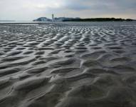 Imagen tomada desde el islote El Palmar. Al fondo se ve Guayaquil.