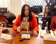 Acusan a María Fernanda Astudillo, legisladora de UNES, por incumplir la constitución y la Ley de la Función Legislativa