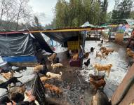 Refugio destrudio por las lluvias.