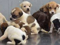 Si está interesado en alguno, debe llenar un formulario.