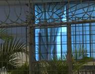 Imagen de la vivienda donde una mujer mató y descuartizó a su madre en Guayaquil.