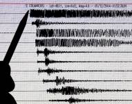 Foto de archivo. Un gráfico registrado por un sismógrafo durante un terremoto que afectó la parte oriental de Francia y el suroeste de Alemania a principios del 5 de diciembre de 2004.