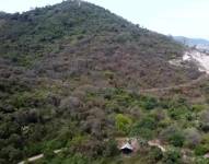 Imagen panorámica de el Cerro Blanco de Guayaquil.