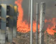Foto de un incendio forestal reciente en Guayaquil.