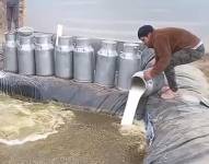 Productor de leche lanza el líquido al suelo.