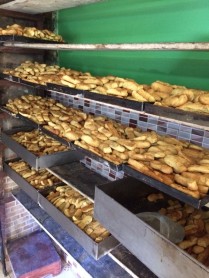 La avenida de los volcanes en Ecuador Sobre Ruedas