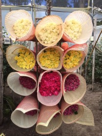 La avenida de los volcanes en Ecuador Sobre Ruedas