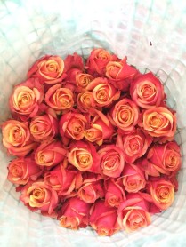 La avenida de los volcanes en Ecuador Sobre Ruedas