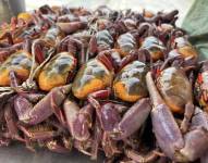 La veda es una prohibición temporal de extracción y comercialización.