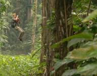 El secreto verde de Loreto: un recorrido por el bosque de Pasohurco
