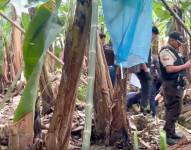 Imagen de una hacienda bananera donde un cadáver fue hallado.