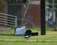 La migración marca una de las crisis más profundas del Ecuador