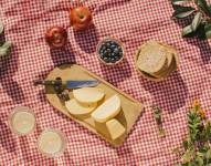 Imagen referencial de comida saludable durante un picnic.