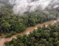 Imagen del Parque Nacional Yasuní.
