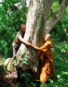 Así son las 10 especies principales halladas en 2013
