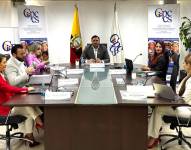 Pleno del Consejo de Participación Ciudadana en una sesión de febrero 2025.